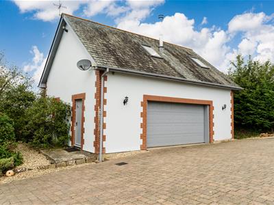 Picture 20